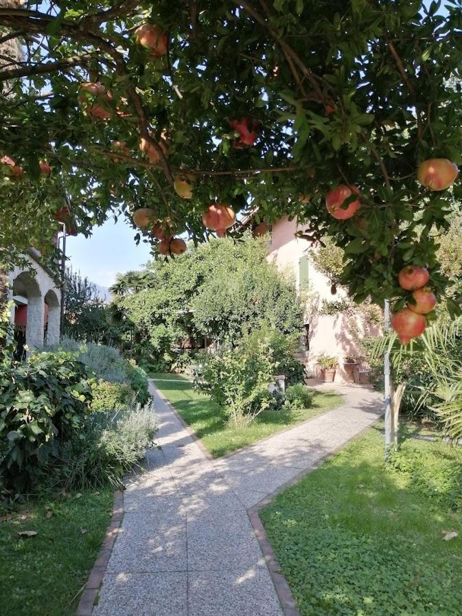 Al Rustico Hotell Torbole Sul Garda Eksteriør bilde